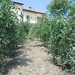 فندق Borgo Tramonte براتوفيتشيو