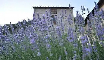 Borgo Tramonte 호텔 *