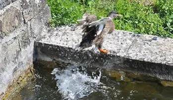 호텔 Borgo Tramonte *