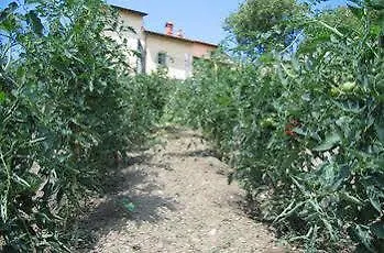 Hotel Borgo Tramonte Pratovecchio