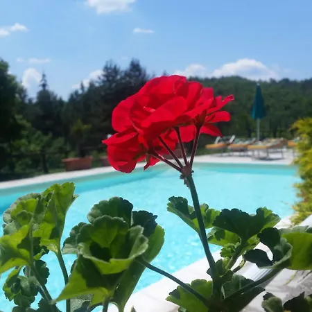 Hotel Borgo Tramonte Pratovecchio