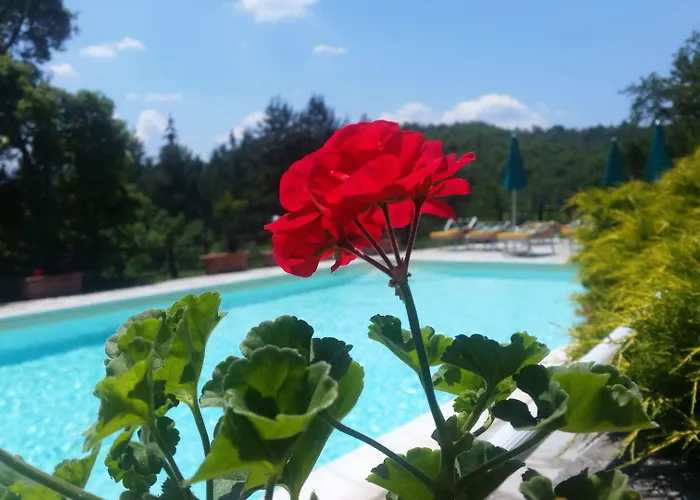 Hotel Borgo Tramonte *