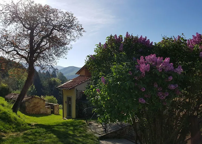 Hotel Borgo Tramonte Pratovecchio